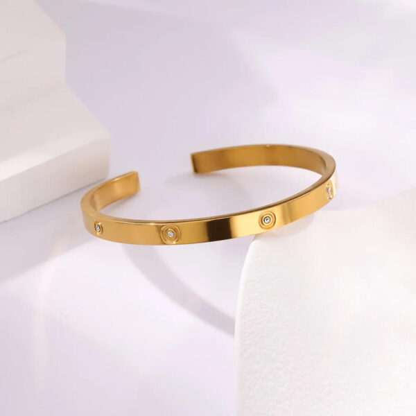Luxury Brand Stainless Steel Charm Bangles For Men Women - Image 3